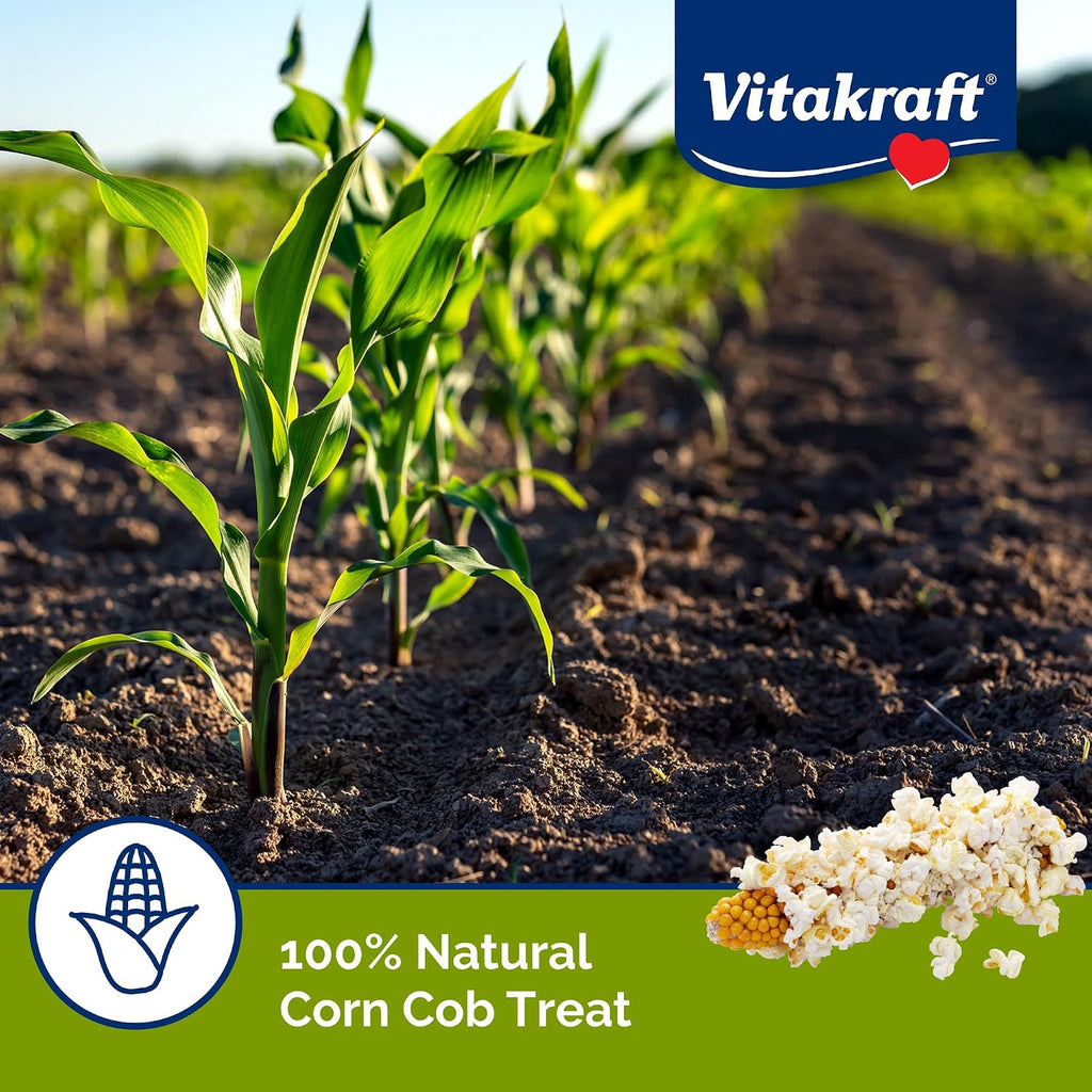 Natural single ingredient corn snack for guinea pigs