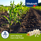 Natural single ingredient corn snack for guinea pigs