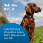PetAg anti itch dog grooming conditioner for dry sensitive skin relief