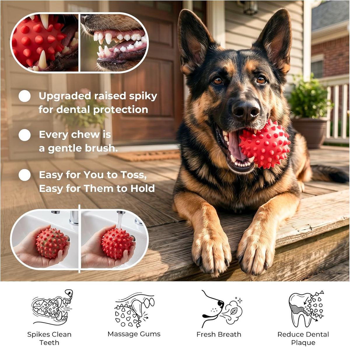 Top view of 3.5 inch Apasiri dog toy for aggressive chewers