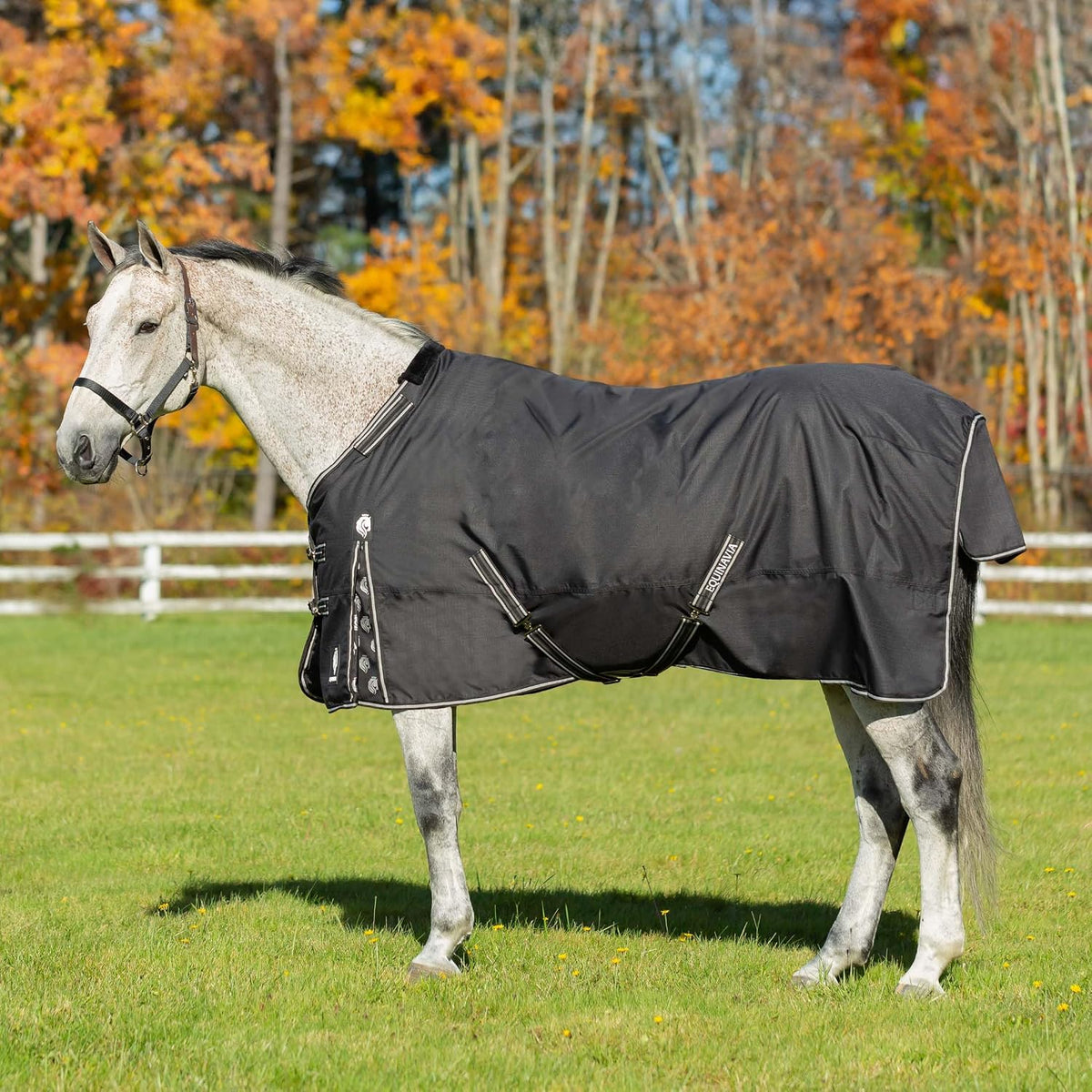Premium winter horse turnout sheet with protective tail flap rear view