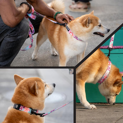 Wolfgang dog harness adjustable straps and hardware details