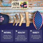 Medium size five inch USA sourced whole elk antler showing dense durable core structure