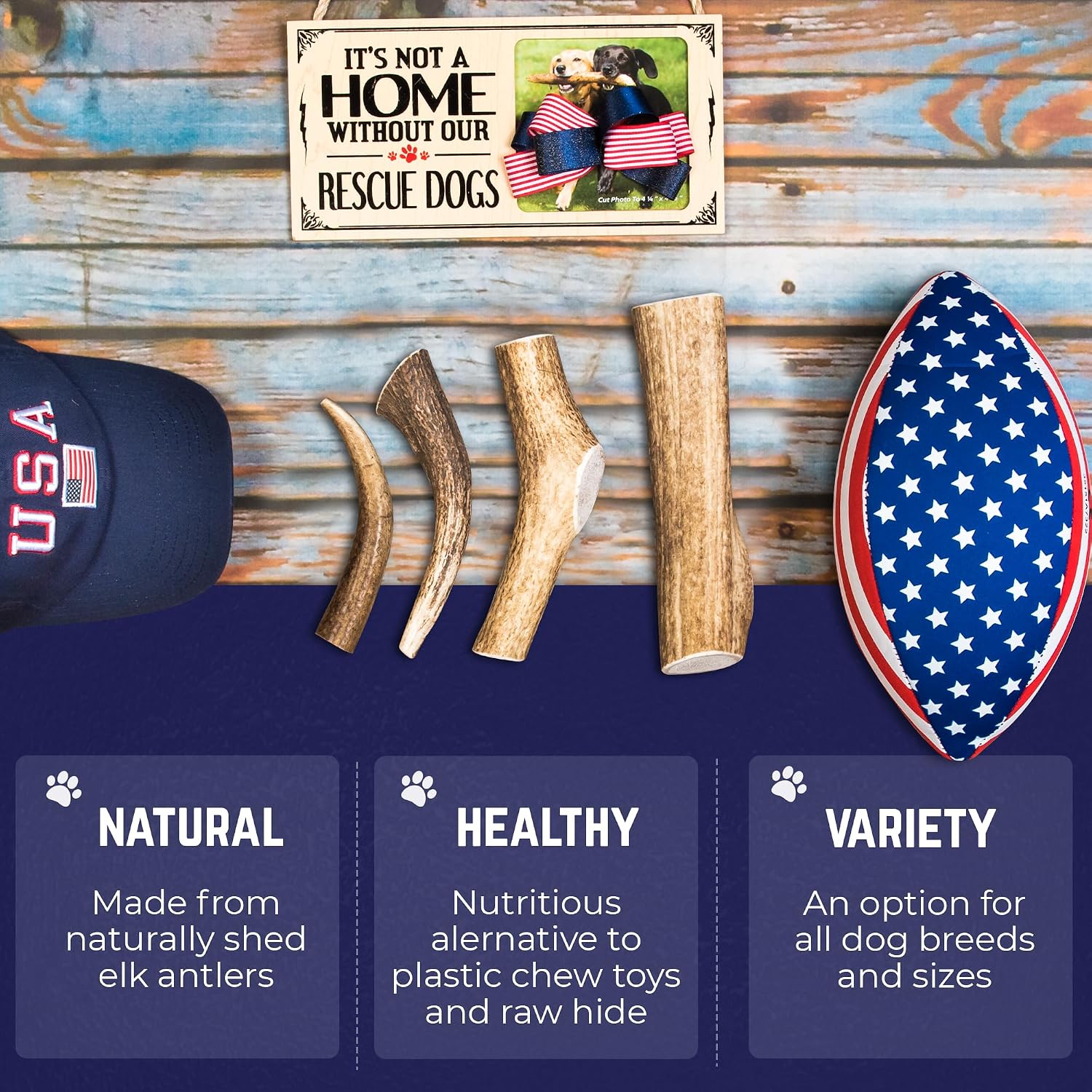 Medium size five inch USA sourced whole elk antler showing dense durable core structure