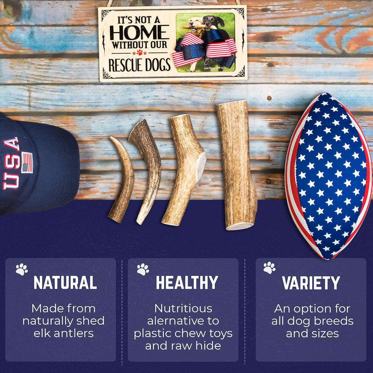 Medium size five inch USA sourced whole elk antler showing dense durable core structure