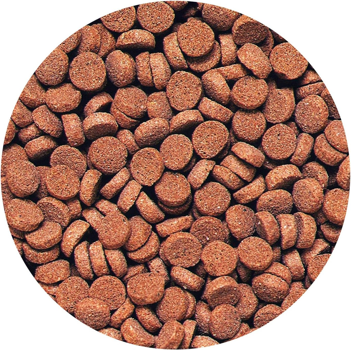 Hikari Sinking Carnivore Pellets nutritional information label