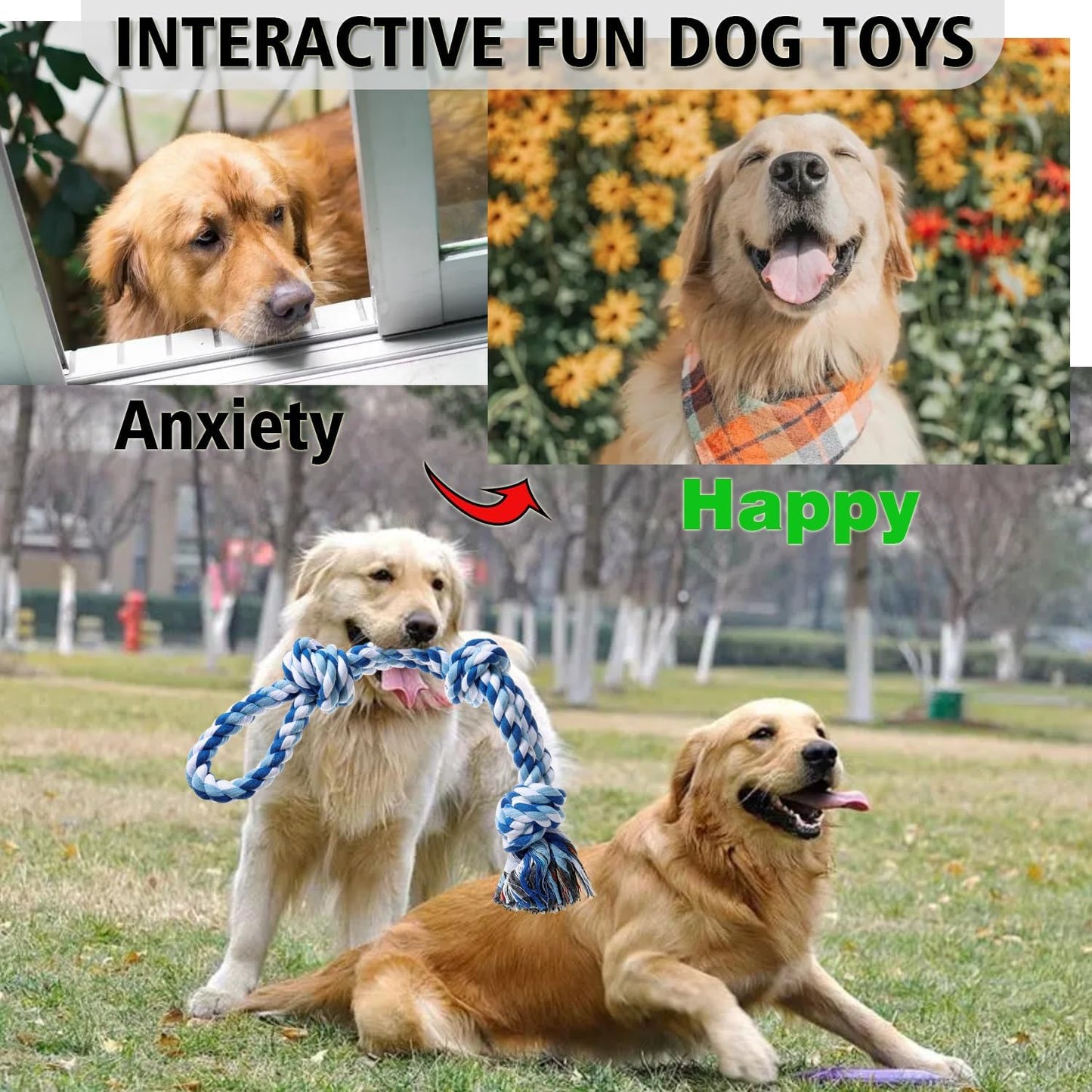 XIGOU teething puppy rope toy blue color variant for stress relief