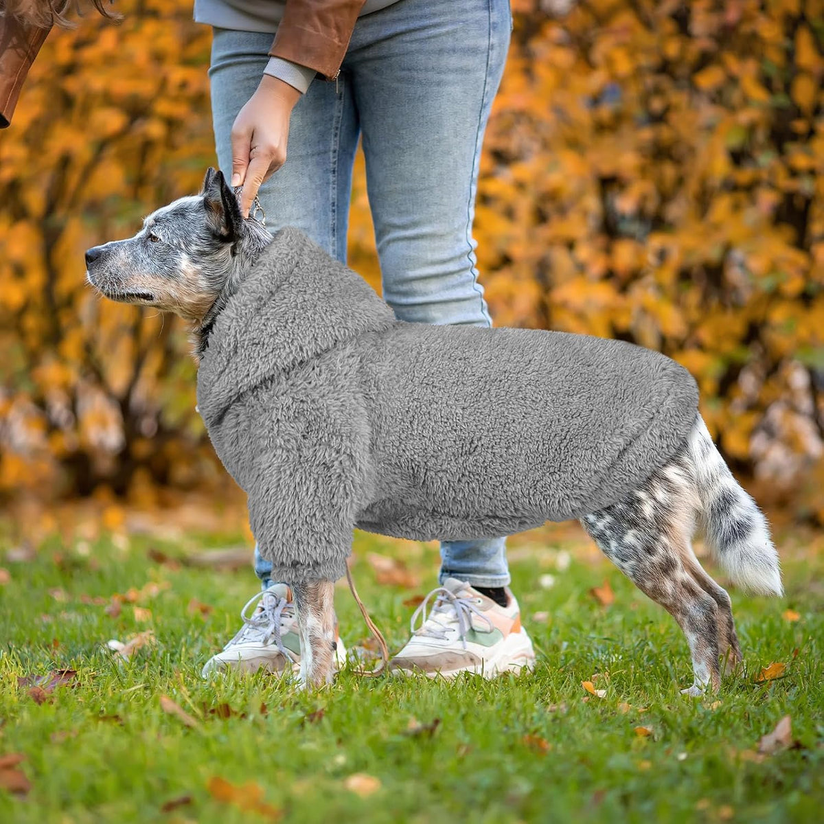 Authentic QDYU warm winter dog apparel modeled indoors for cozy lifestyle presentation.