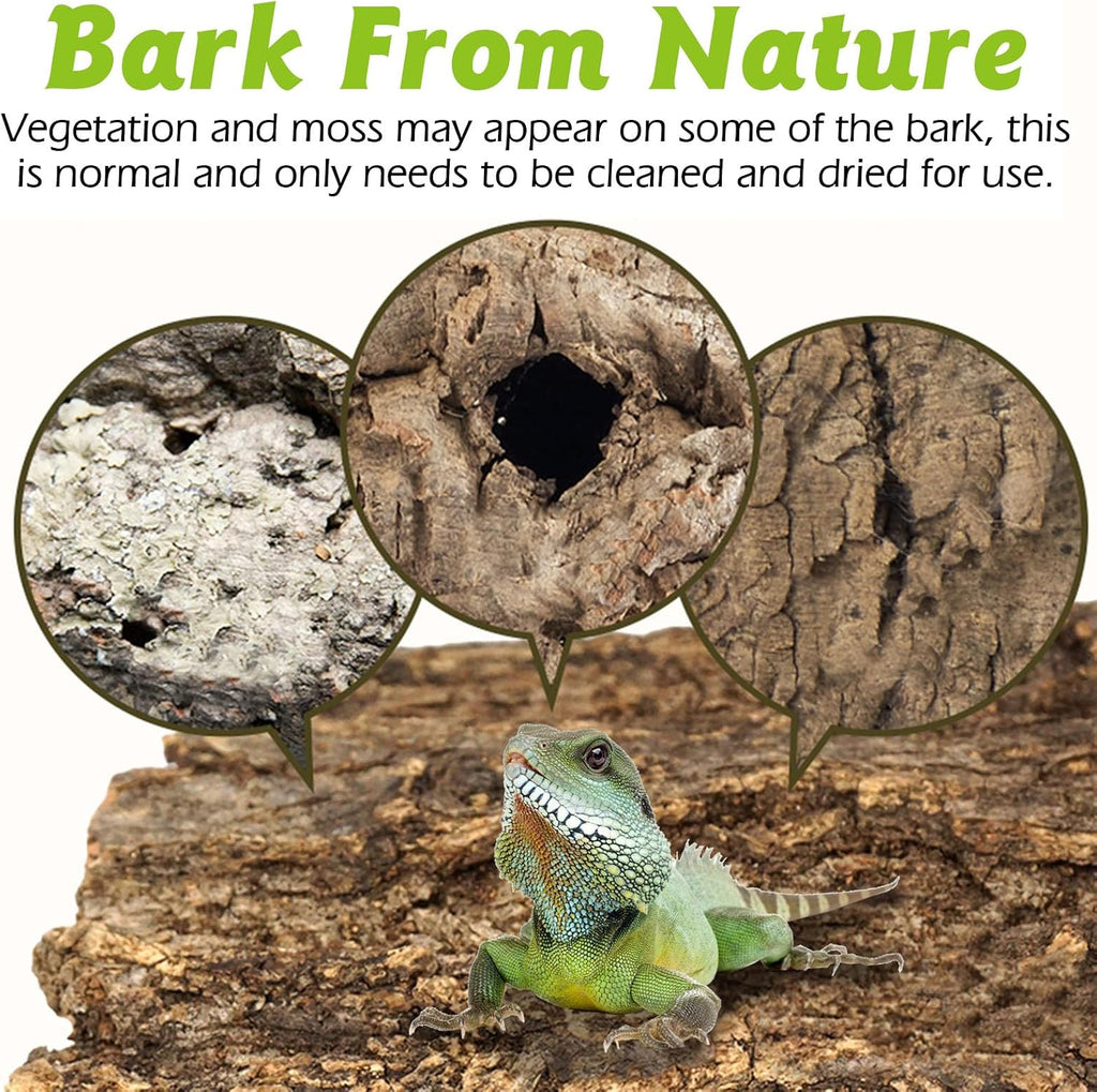 Organic cork wood substrate for snakes and spiders showing forest texture