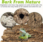Organic cork wood substrate for snakes and spiders showing forest texture