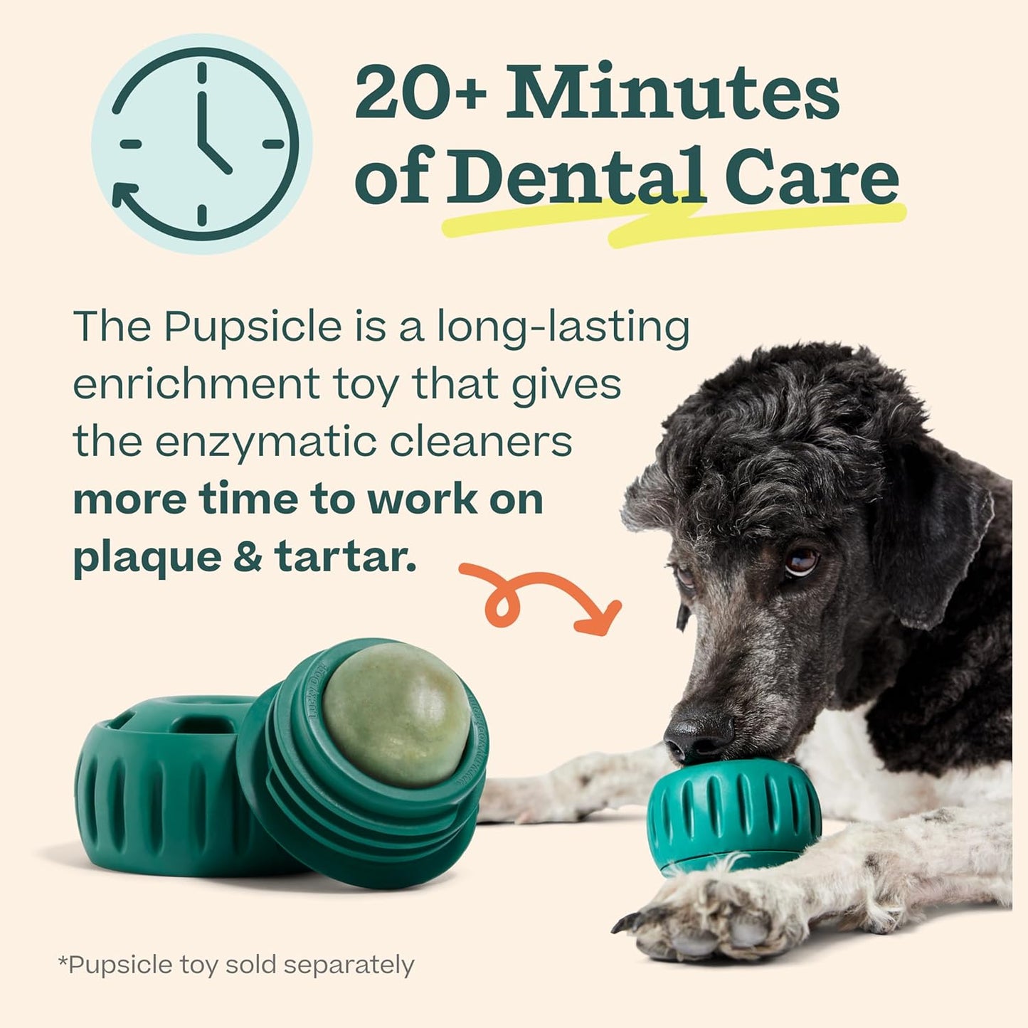 Dog enjoying the frozen kelp and coconut flavor dental mix for fresh breath