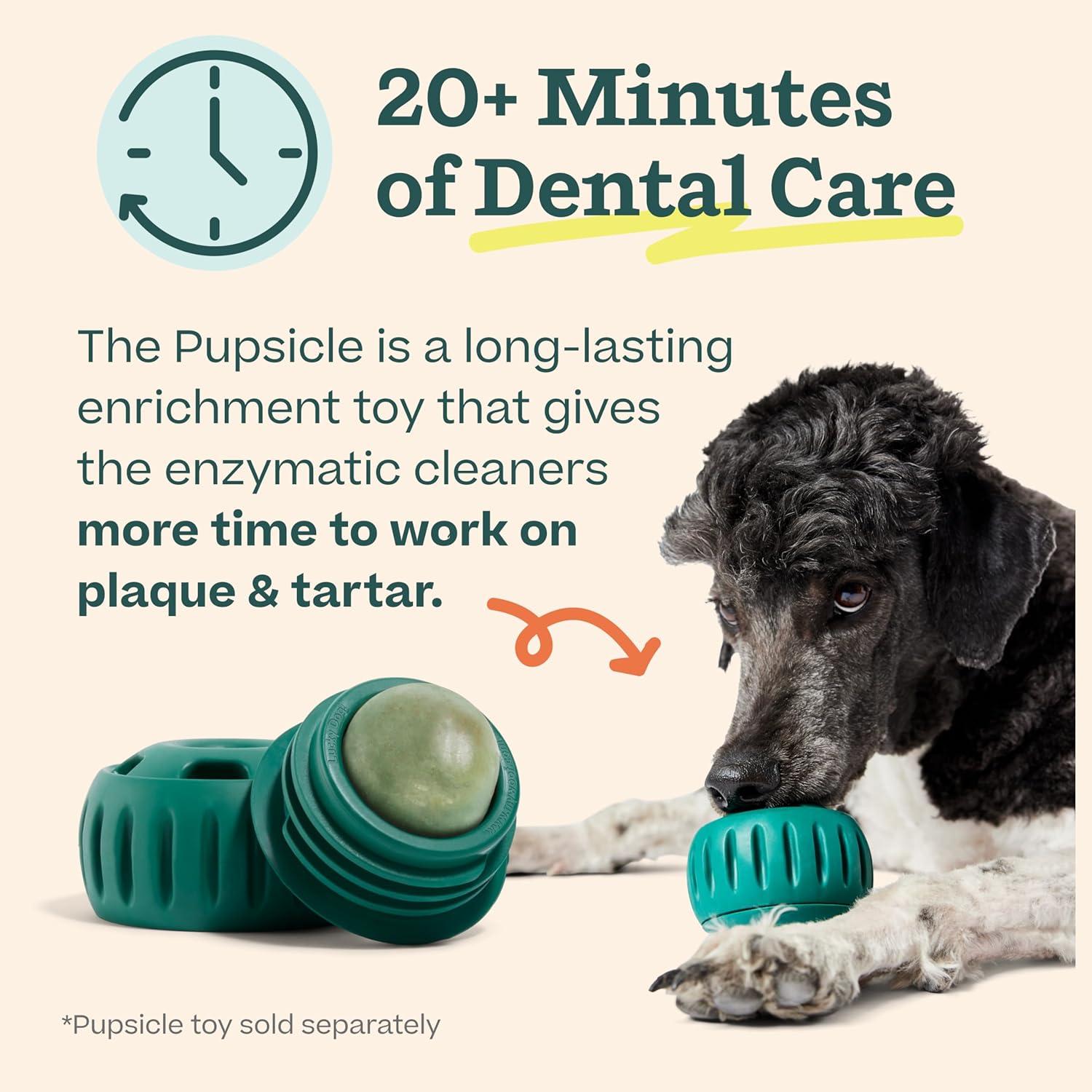 Dog enjoying the frozen kelp and coconut flavor dental mix for fresh breath