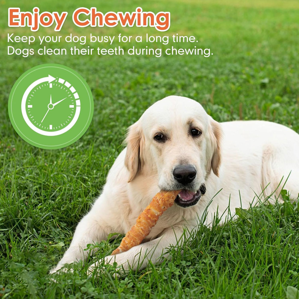 MON2SUN tartar reduction teeth cleaning dog chews pack of two