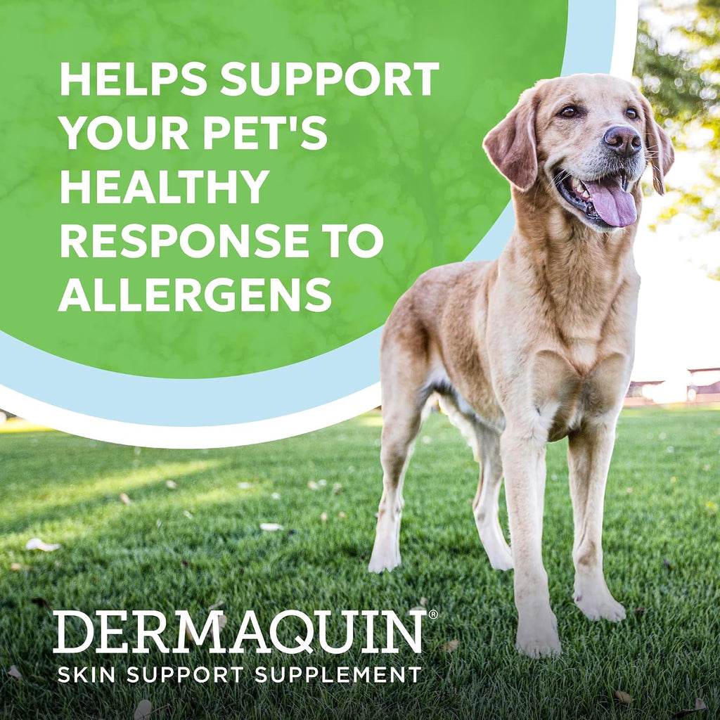 Nutramax Laboratories Dermaquin sixty soft chews bag for canine allergy support