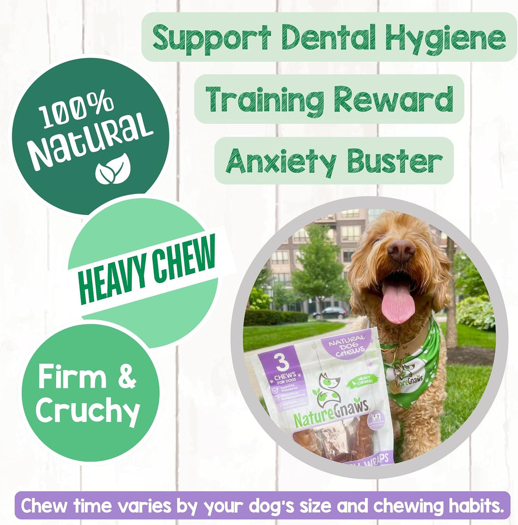 Dog chewing on Nature Gnaws beef trachea wrap