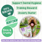 Dog chewing on Nature Gnaws beef trachea wrap