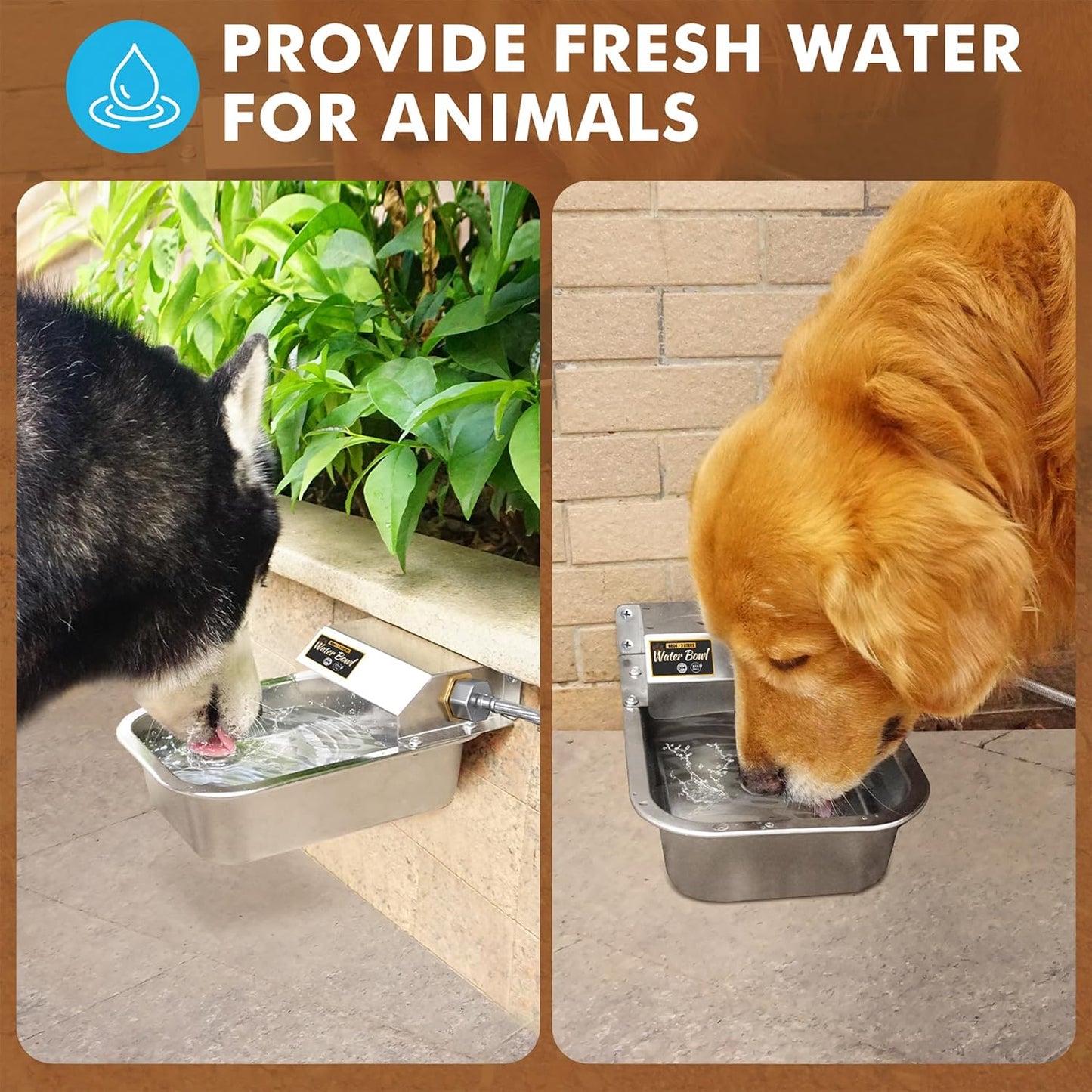 PETTEN automatic dog water station side view displaying the rounded safe edges