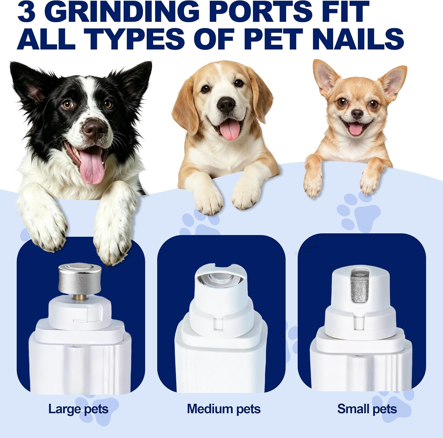 Professional pet grooming kit for dogs and cats