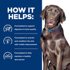 Hill's veterinary recommended dd skin and food sensitivities dog food nutrition facts