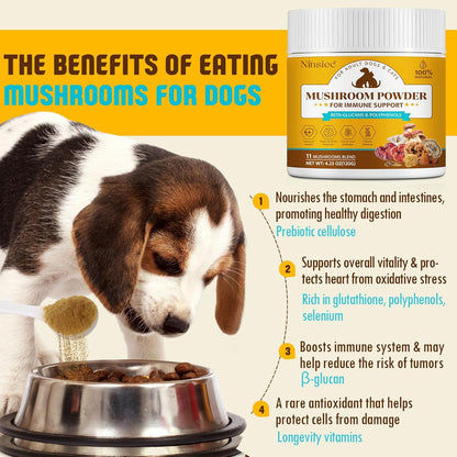 USA imported Ninsiec dog and cat immune booster supplement container.