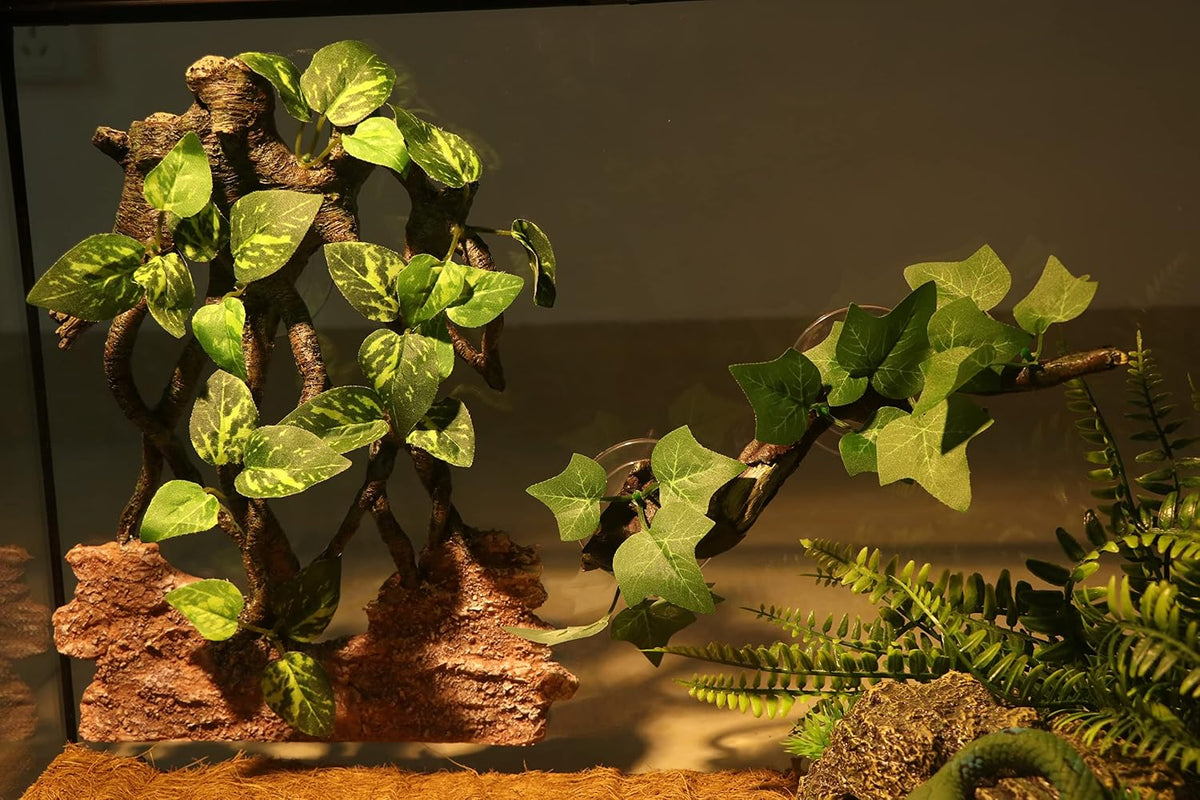 Aqua Kt reptile rock background with artificial green leaves
