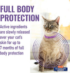 Hartz flea collar for kittens and cats displayed on a table