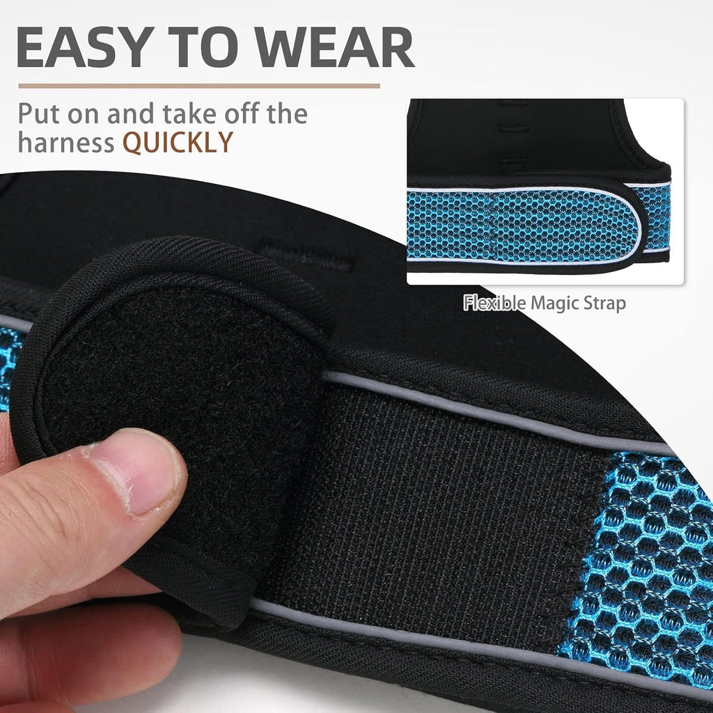 Pupteck lake blue mesh cat vest showing quick release safety buckle