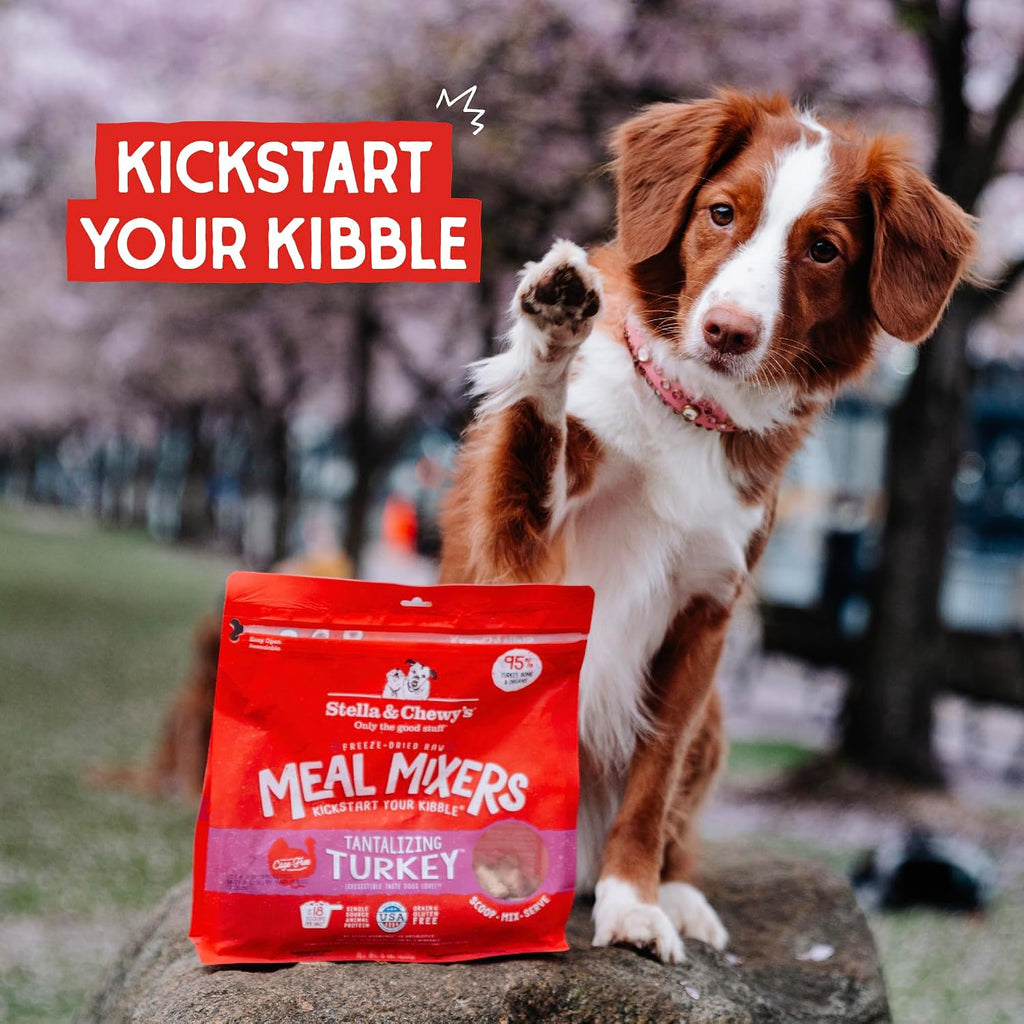 Stella & Chewy's Freeze-Dried Raw Tantalizing Turkey Meal Mixers- Dog Food Topper and Mixer - Made with 95% Cage-Free Turkey, Organs & Bone - Perfect for Picky Eaters - Grain-Free - 1 oz - Image 9