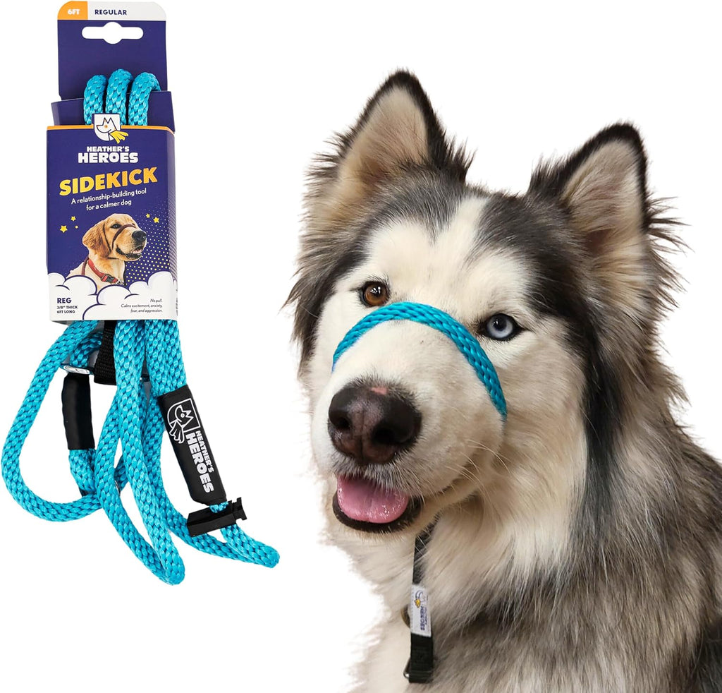Heather's Heroes Sidekick Dog Headcollar with Leash - Sidekick Leash for Dogs, Effective Dog Training Tool for Leash Reactivity and Behavior Issues (Turquoise, Mini (1/4")) - Image 12
