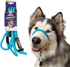 Heather's Heroes Sidekick Dog Headcollar with Leash - Sidekick Leash for Dogs, Effective Dog Training Tool for Leash Reactivity and Behavior Issues (Turquoise, Mini (1/4")) - Image 12