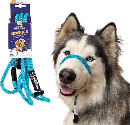 Heather's Heroes Sidekick Dog Headcollar with Leash - Sidekick Leash for Dogs, Effective Dog Training Tool for Leash Reactivity and Behavior Issues (Turquoise, Mini (1/4")) - Image 12