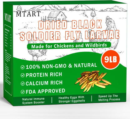 Healthy egg produced by hen fed with BSFL treats