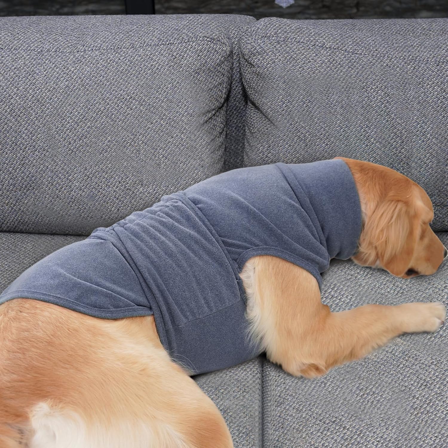 ROZKITCH pet ear cover snood folded down for regular indoor wear