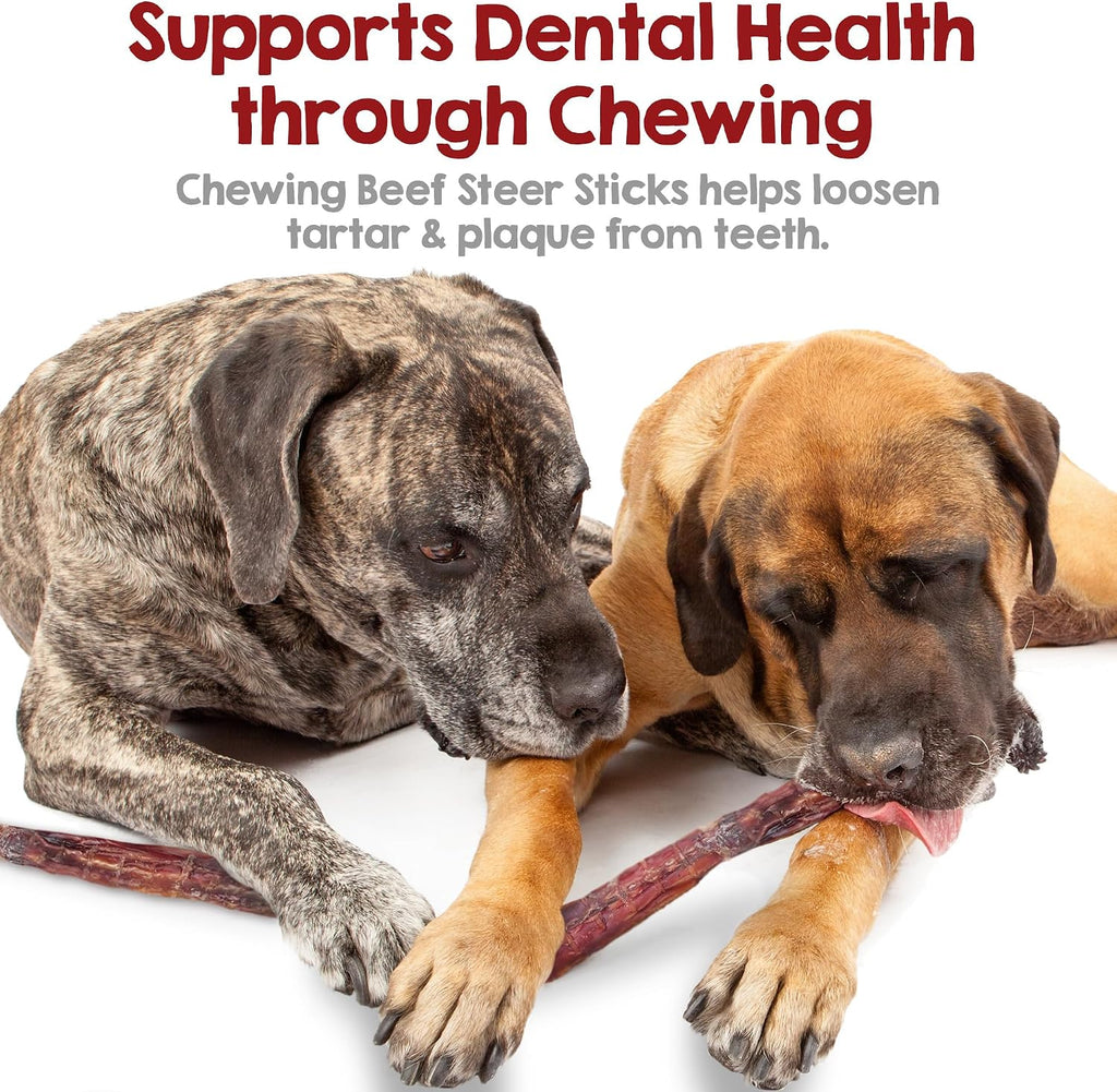 Natural bovine dental chews for puppies and large dogs