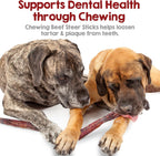 Natural bovine dental chews for puppies and large dogs