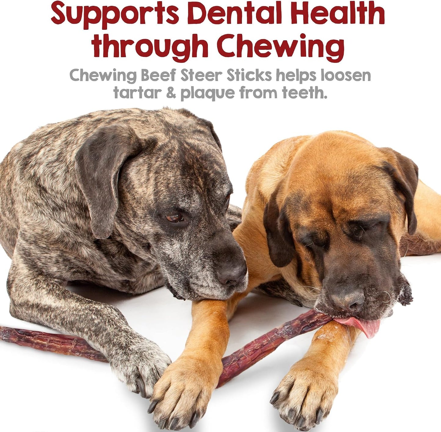Natural bovine dental chews for puppies and large dogs