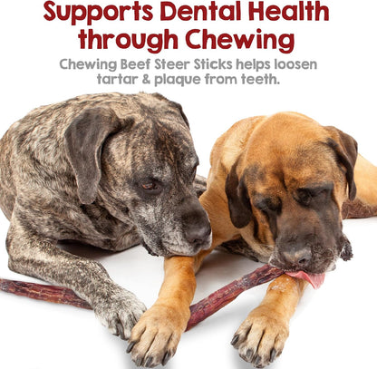 Natural bovine dental chews for puppies and large dogs