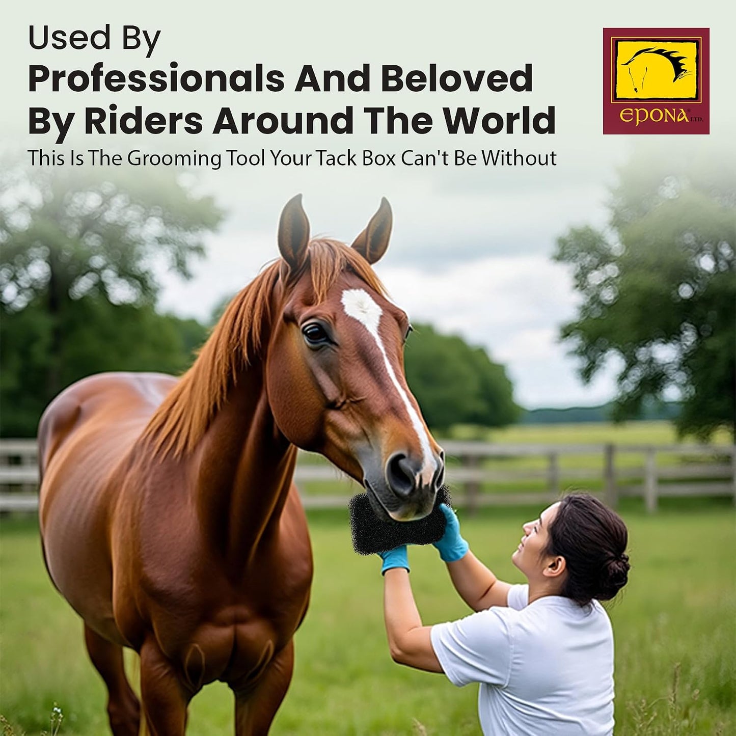 Epona equine massage sponge buffing mud and debris off horse hoof walls.