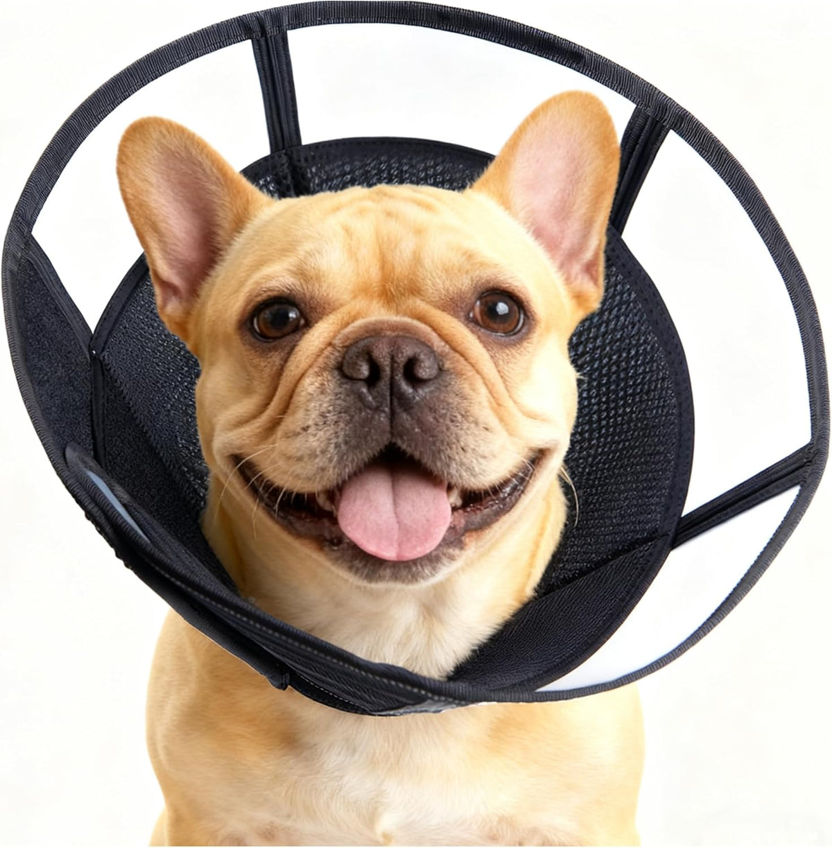 Soft Dog Cone, Stop Licking Deep Pet Recovery Collar After Surgery for Large Medium Dogs, Clear Plastic Breathable Elizabethan Head Neck Circle, Adjustable Comfortable Cones 25cm /10" Long (L Black) - Image 11