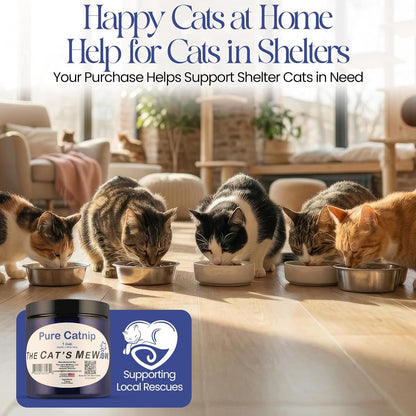 The Cat's MeWow veteran owned brand authentic packaging close up view