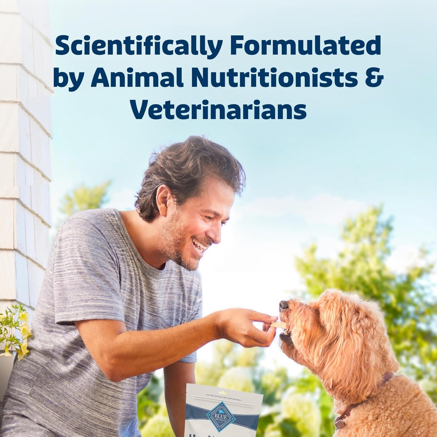 Premium imported American pet snacks for digestion support close up