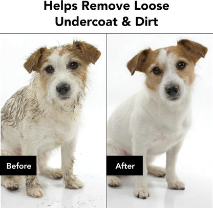 Premium dog bath shampoo featuring coconut and avocado oil for coat health.