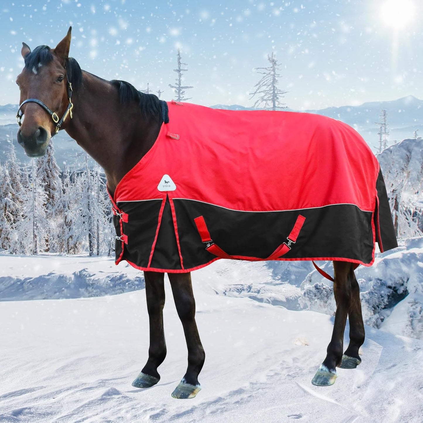 Jranter ripstop winter turnout apparel for horses in red and black