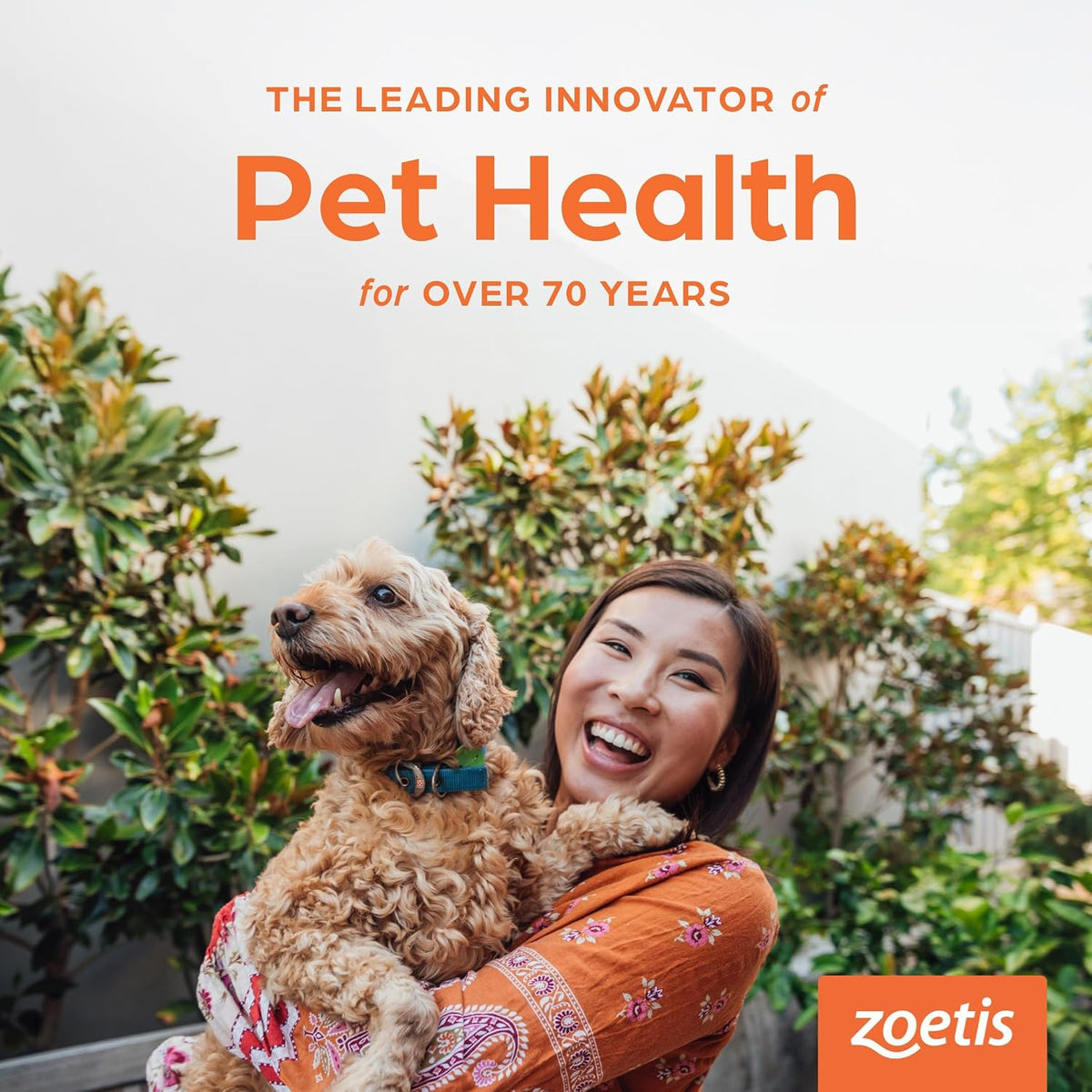 Lax'Aire veterinary formula laxative and lubricant ointment for pet intestinal health