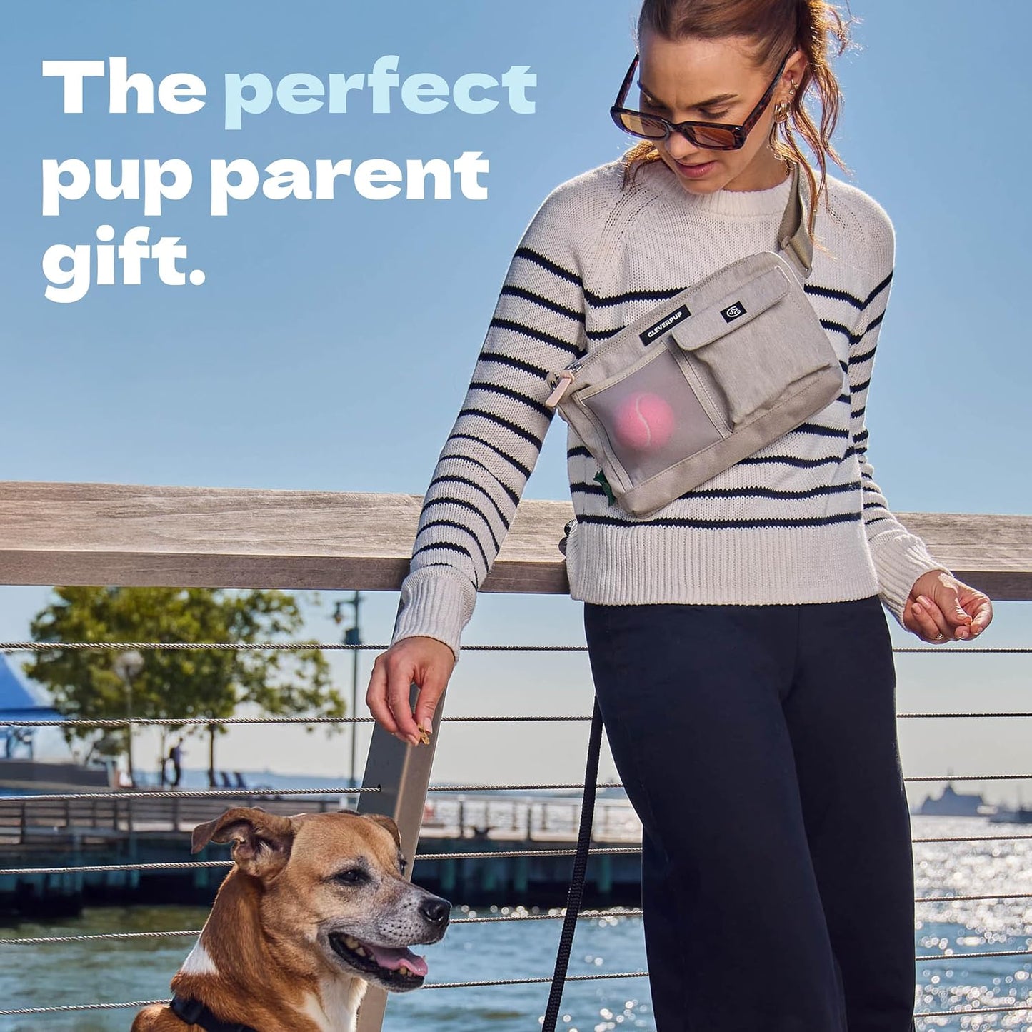 Cleverpup imported premium canine walking pack with side D-ring clip