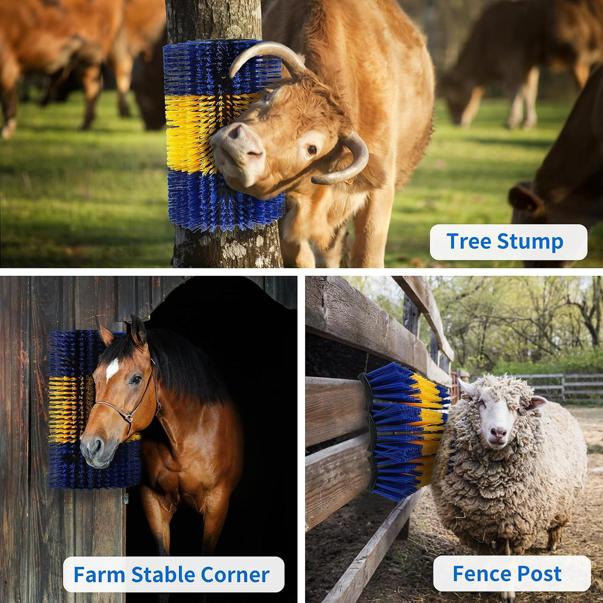 Side profile of durable cow scratching brush plate