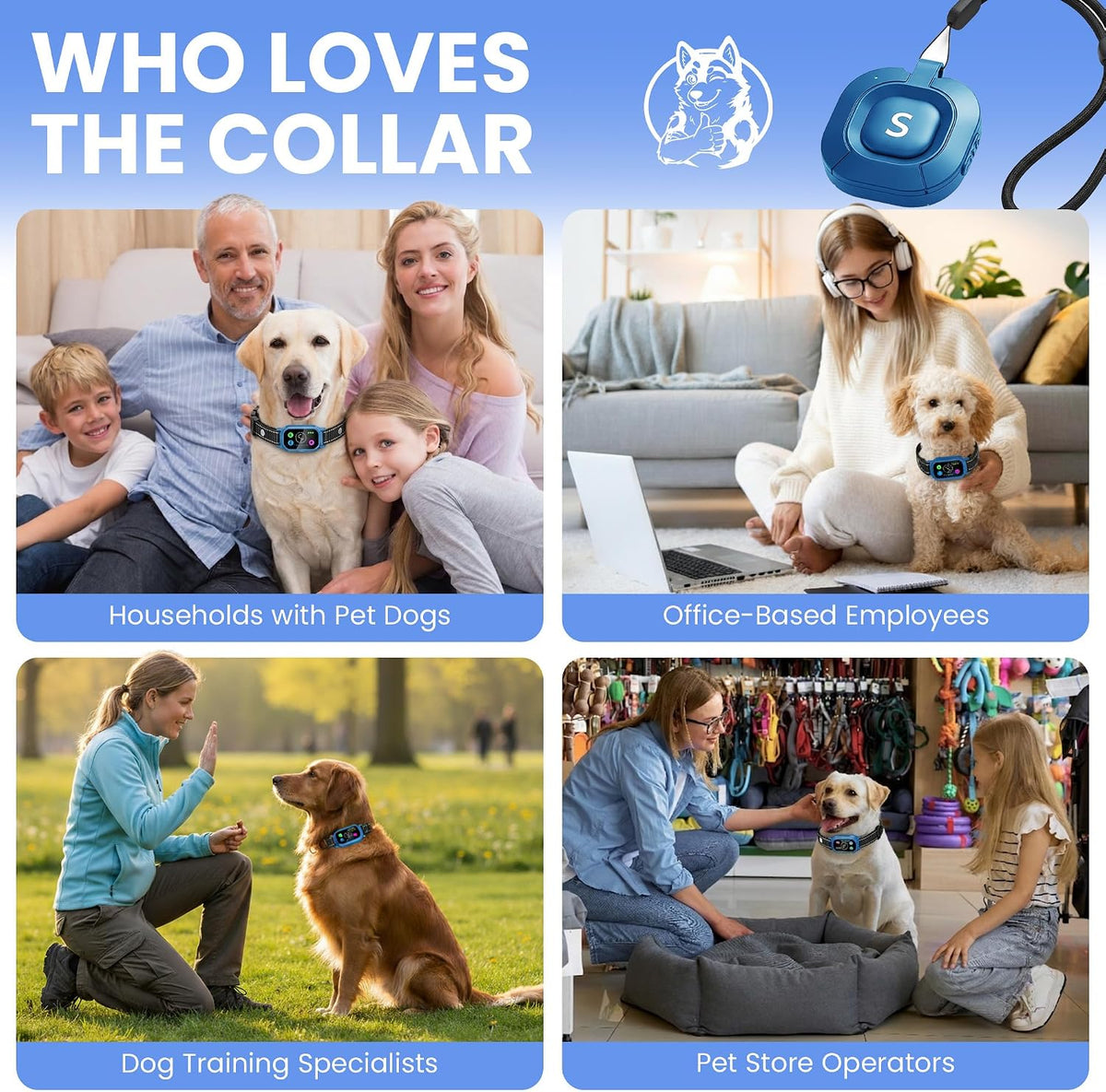 Remote control for dog training and behavior correction