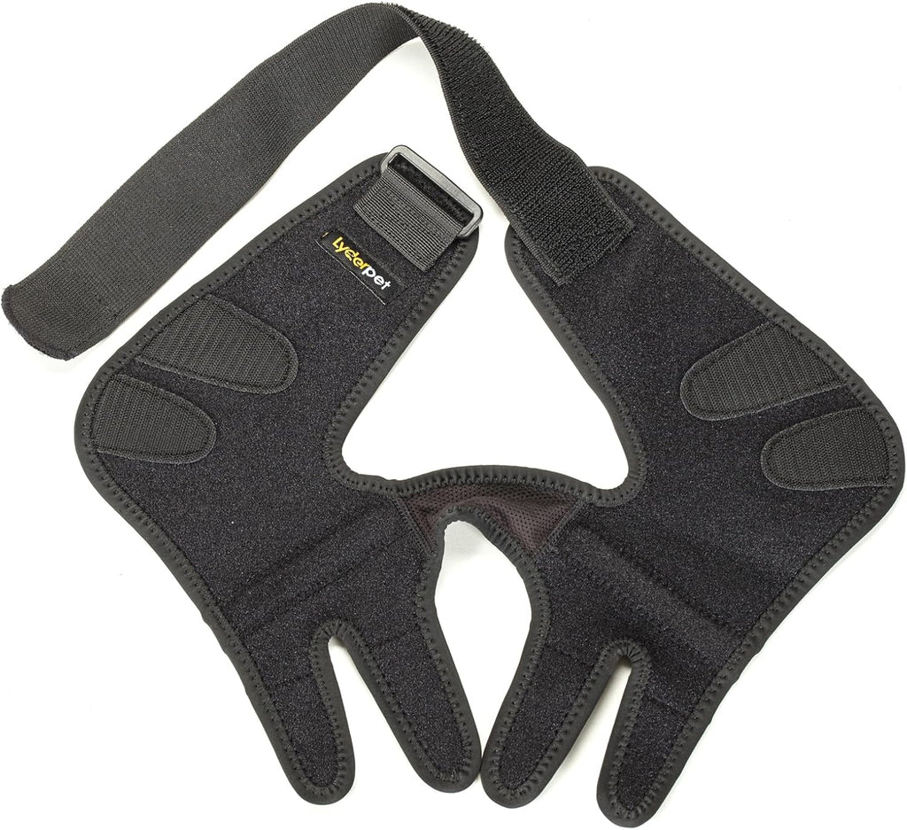 Instructions for fitting Lyderpet dog elbow brace