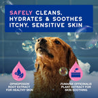 Back view of Douxo Spa sensitive skin dog shampoo bottle