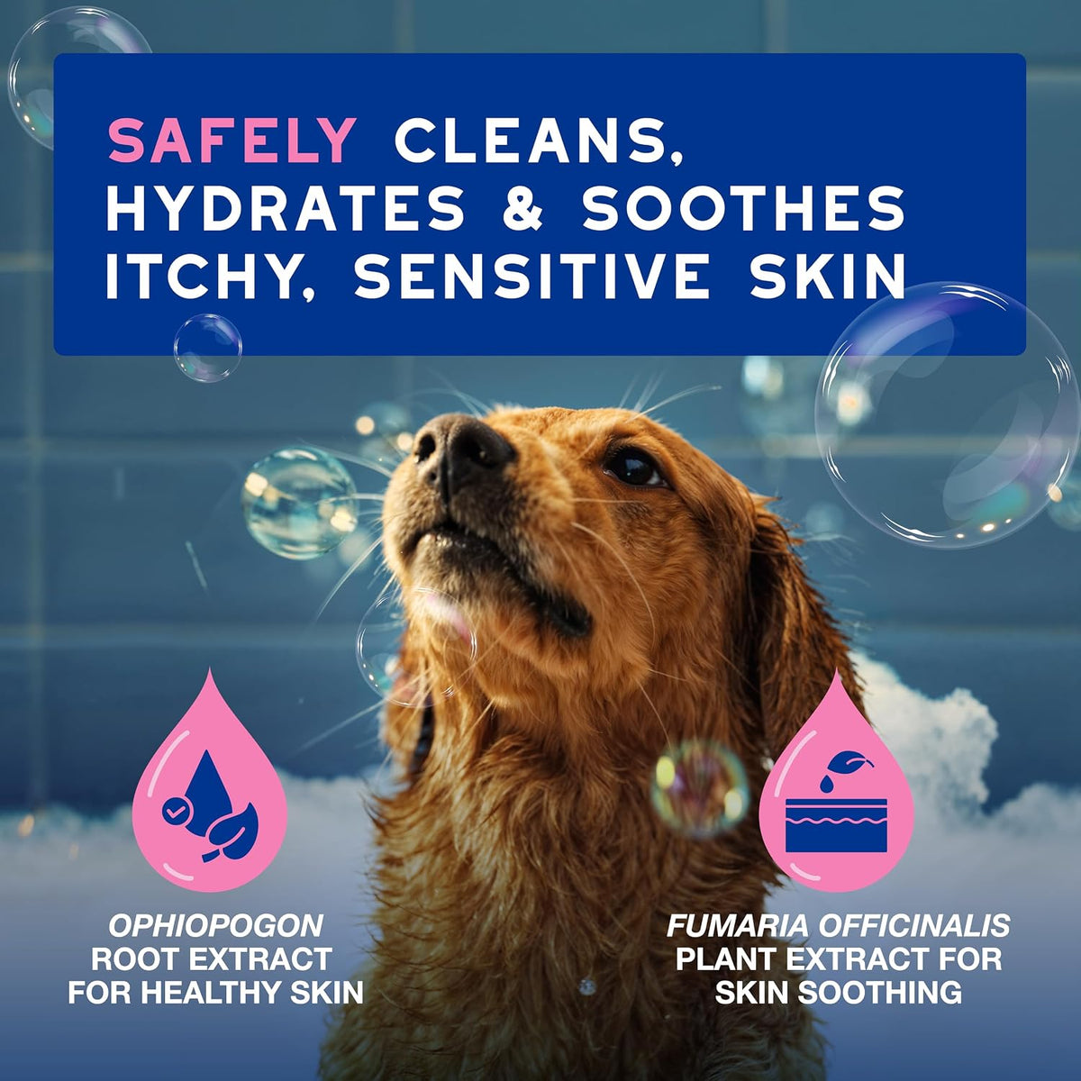 Back view of Douxo Spa sensitive skin dog shampoo bottle